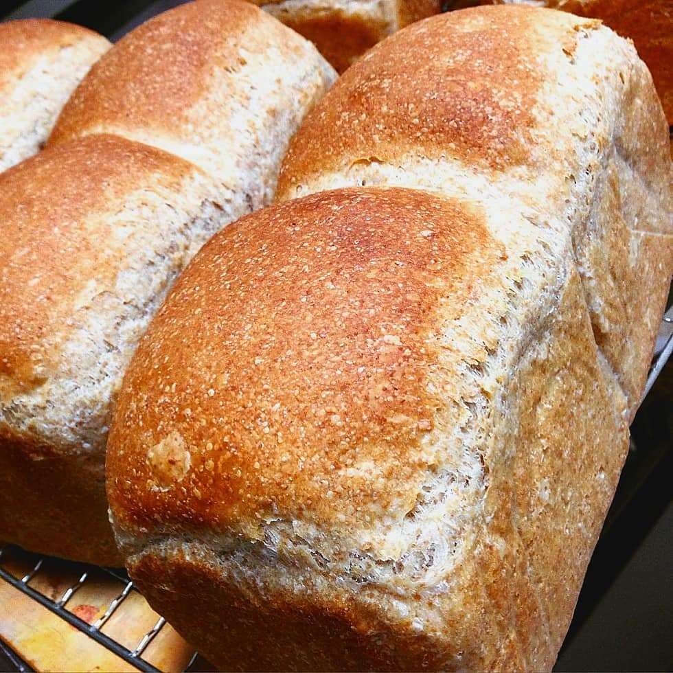 北海道産小麦全粒粉入り食パン